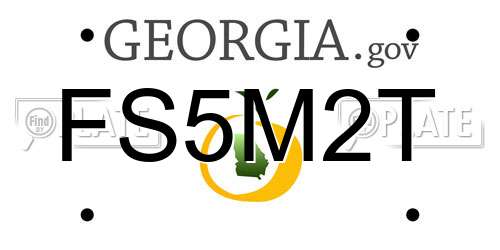 FS5M2T Georgia License Plate
