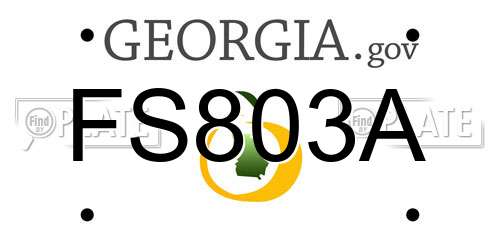 FS803A Georgia License Plate