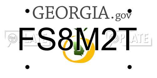 FS8M2T Georgia License Plate