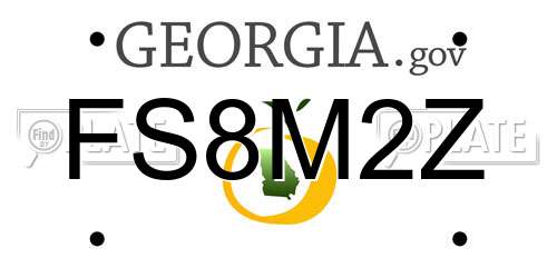 FS8M2Z Georgia License Plate