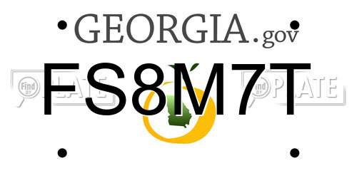FS8M7T Georgia License Plate