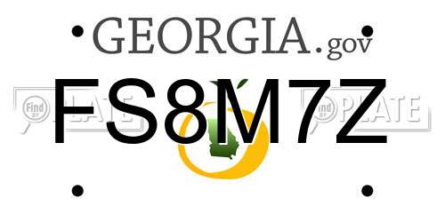 FS8M7Z Georgia License Plate