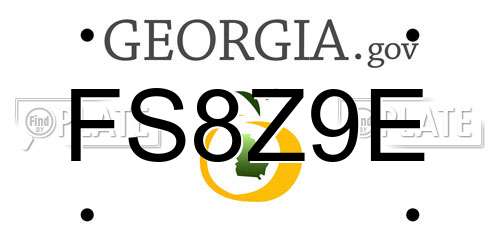 FS8Z9E Georgia License Plate