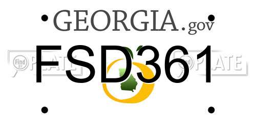 FSD361 Georgia License Plate