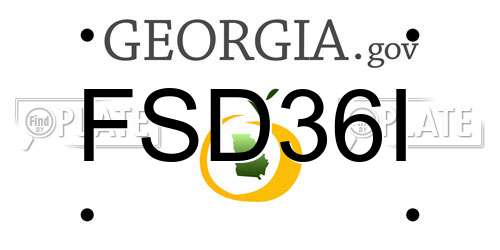 FSD36I Georgia License Plate