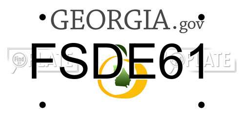 FSDE61 Georgia License Plate