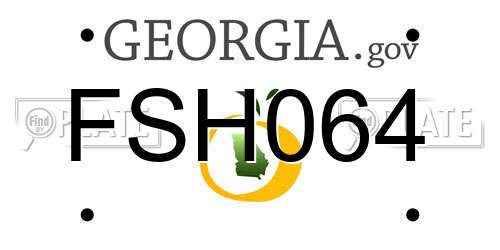 FSH064 Georgia License Plate