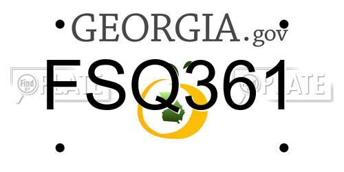 FSQ361 Georgia License Plate