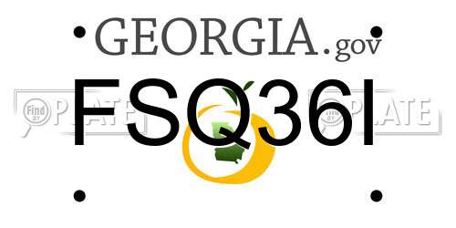 FSQ36I Georgia License Plate