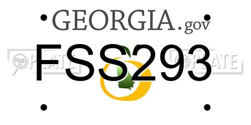 FSS293 Georgia License Plate