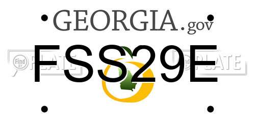 FSS29E Georgia License Plate