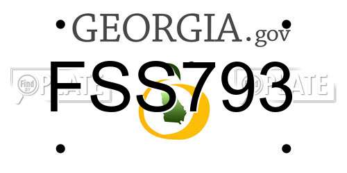 FSS793 Georgia License Plate