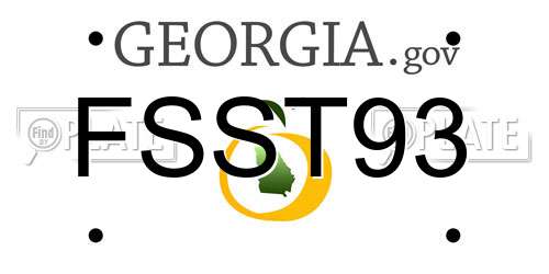 FSST93 Georgia License Plate