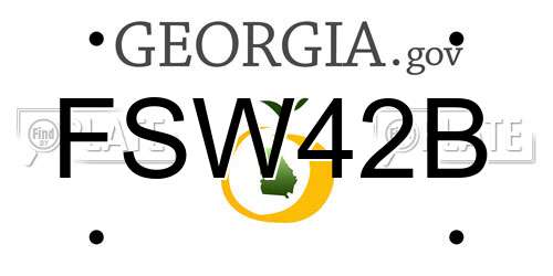 FSW42B Georgia License Plate