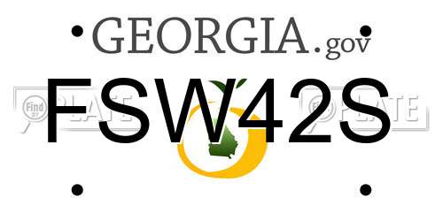FSW42S Georgia License Plate
