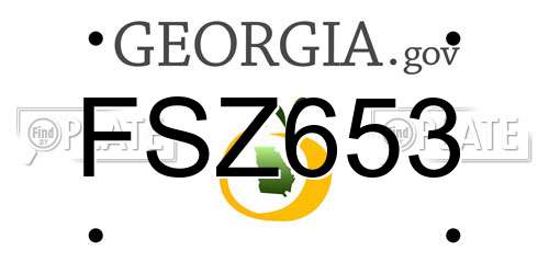 FSZ653 Georgia License Plate
