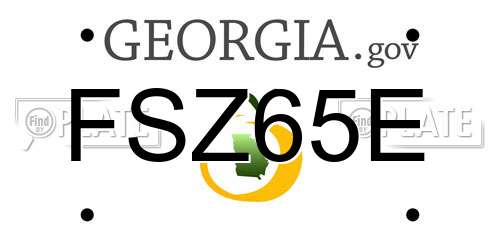 FSZ65E Georgia License Plate