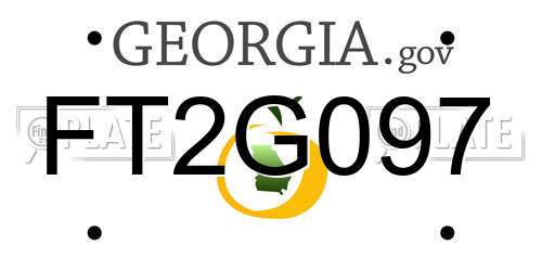FT2G097 Georgia License Plate