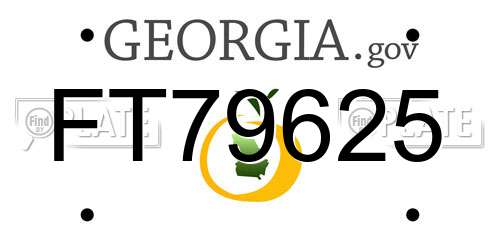 FT79625 Georgia License Plate