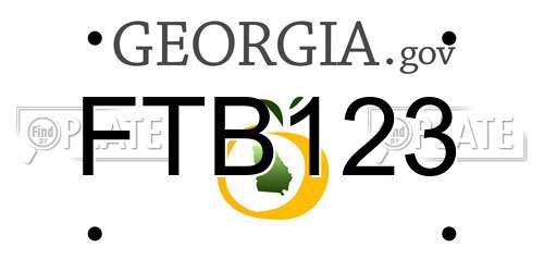 FTB123 Georgia License Plate