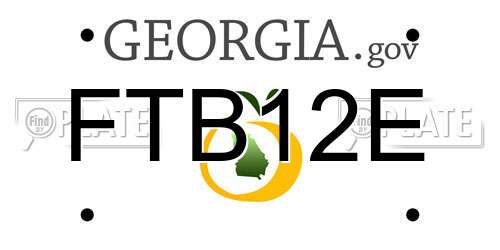 FTB12E Georgia License Plate