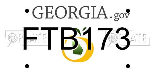 FTB173 Georgia License Plate