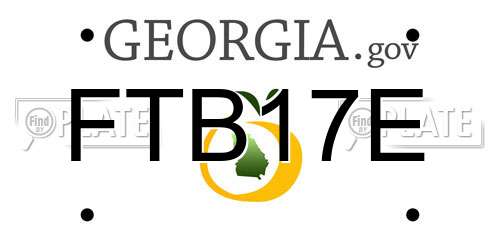 FTB17E Georgia License Plate