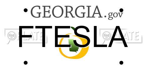 FTESLA Georgia License Plate