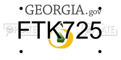 FTK725 Georgia License Plate