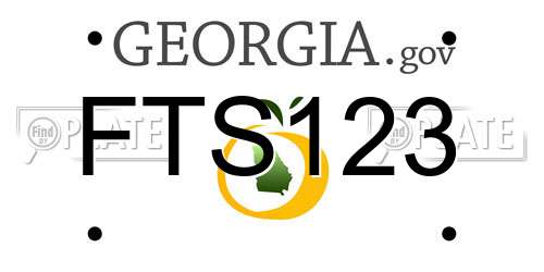FTS123 Georgia License Plate