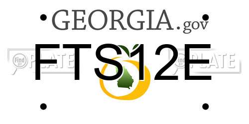 FTS12E Georgia License Plate