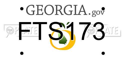 FTS173 Georgia License Plate