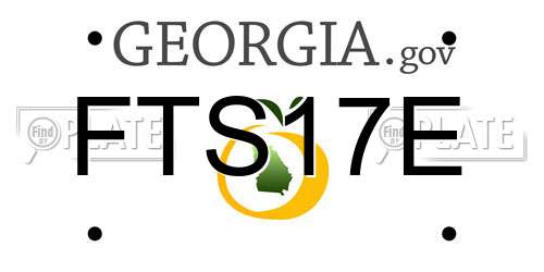 FTS17E Georgia License Plate