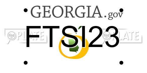 FTSI23 Georgia License Plate