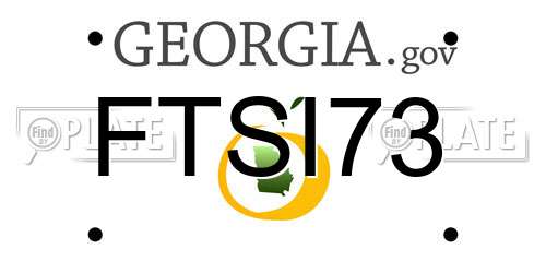 FTSI73 Georgia License Plate
