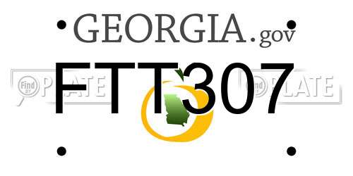 FTT307 Georgia License Plate