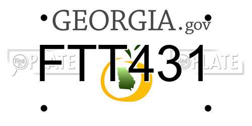 FTT431 Georgia License Plate