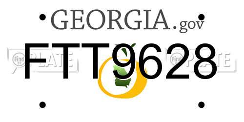 FTT9628 Georgia License Plate