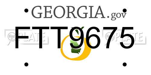 FTT9675 Georgia License Plate
