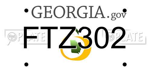 FTZ302 Georgia License Plate