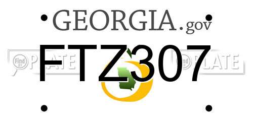 FTZ307 Georgia License Plate