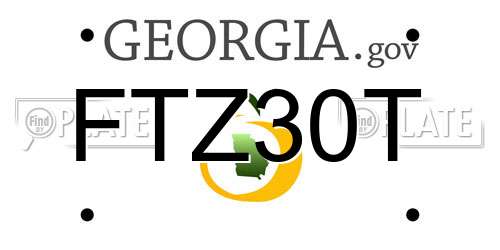 FTZ30T Georgia License Plate