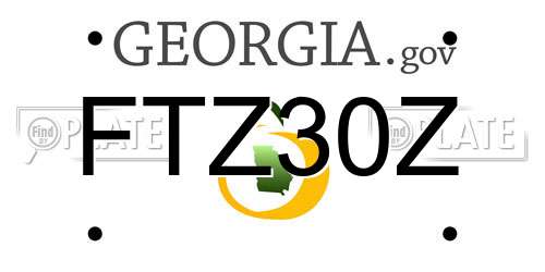 FTZ30Z Georgia License Plate