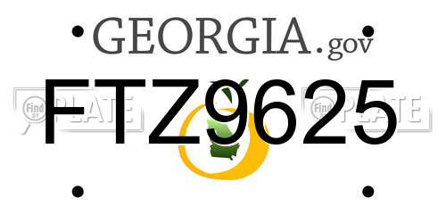 FTZ9625 Georgia License Plate