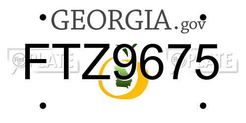FTZ9675 Georgia License Plate