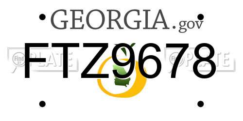 FTZ9678 Georgia License Plate