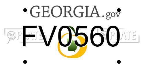 FV0560 Georgia License Plate
