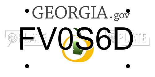 FV0S6D Georgia License Plate