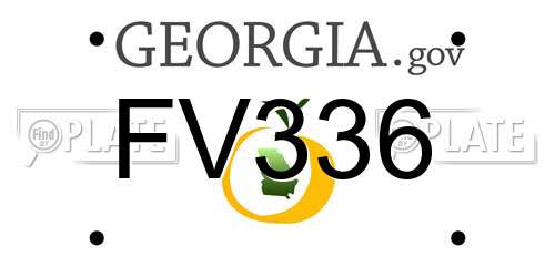FV336 Georgia License Plate