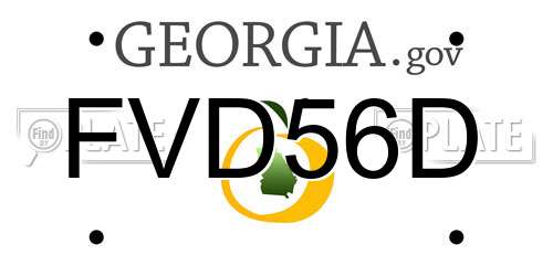 FVD56D Georgia License Plate